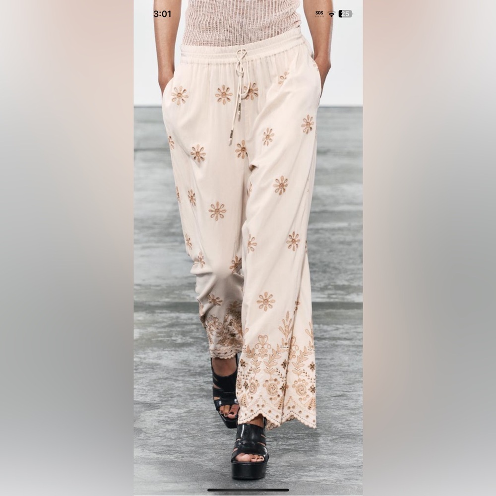 Brand new embroidered Zara pants